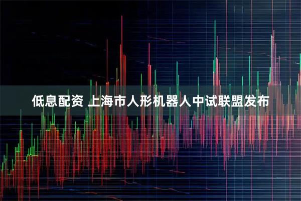 低息配资 上海市人形机器人中试联盟发布